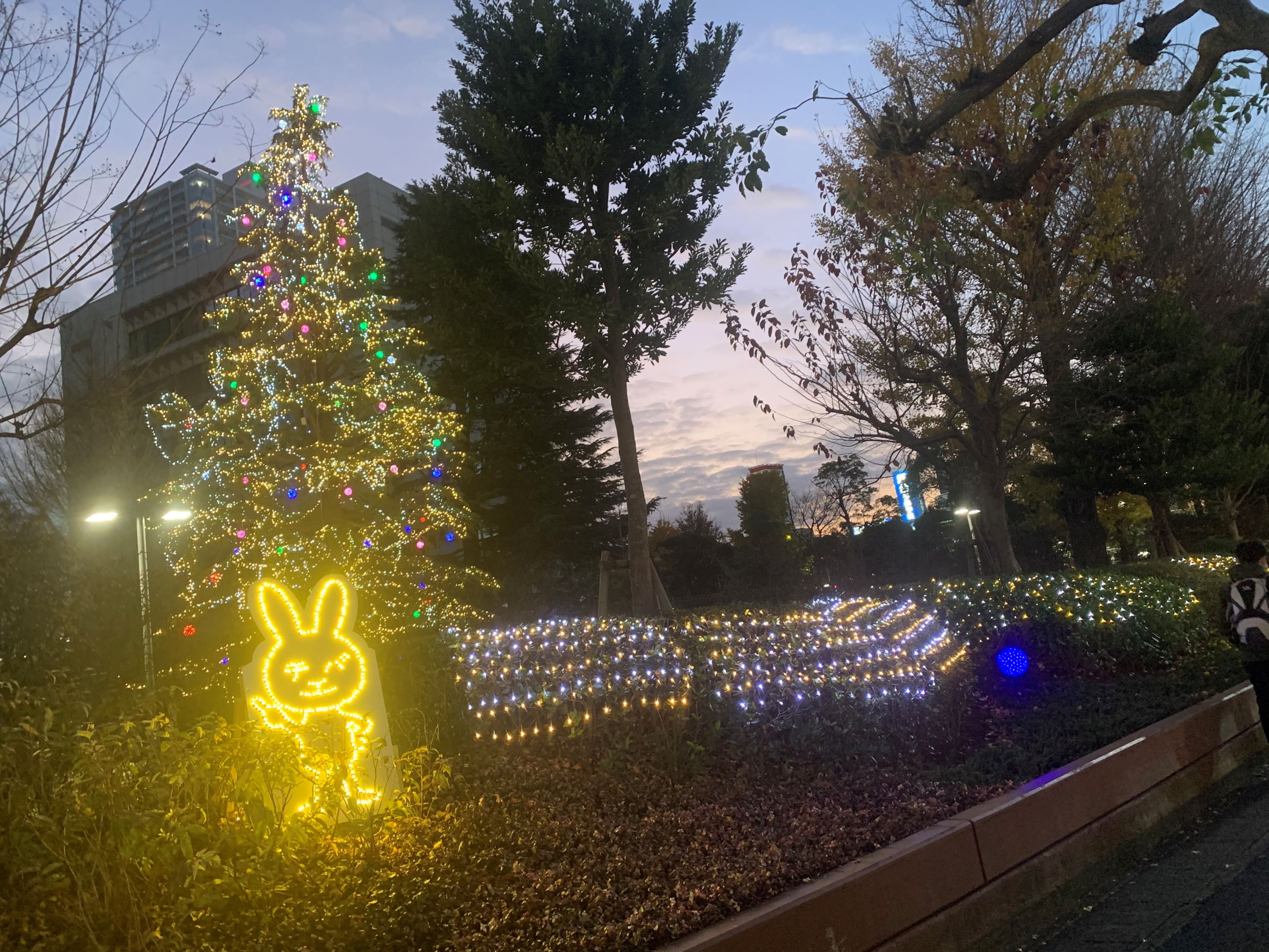 Top ニュース ブログ イルミネーションが始まりました News Blog ニュース ブログ イルミネーションが始まりました 21年12月02日 木 東京建物不動産販売 津田沼支店 熊本 Null 毎年恒例の津田沼駅周辺冬季限定イルミネーションが今年も